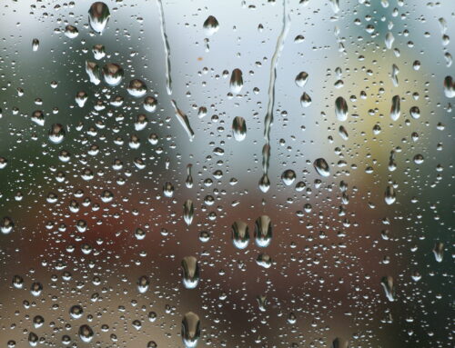Chimney Leaking After Rain? Here’s What to Check First